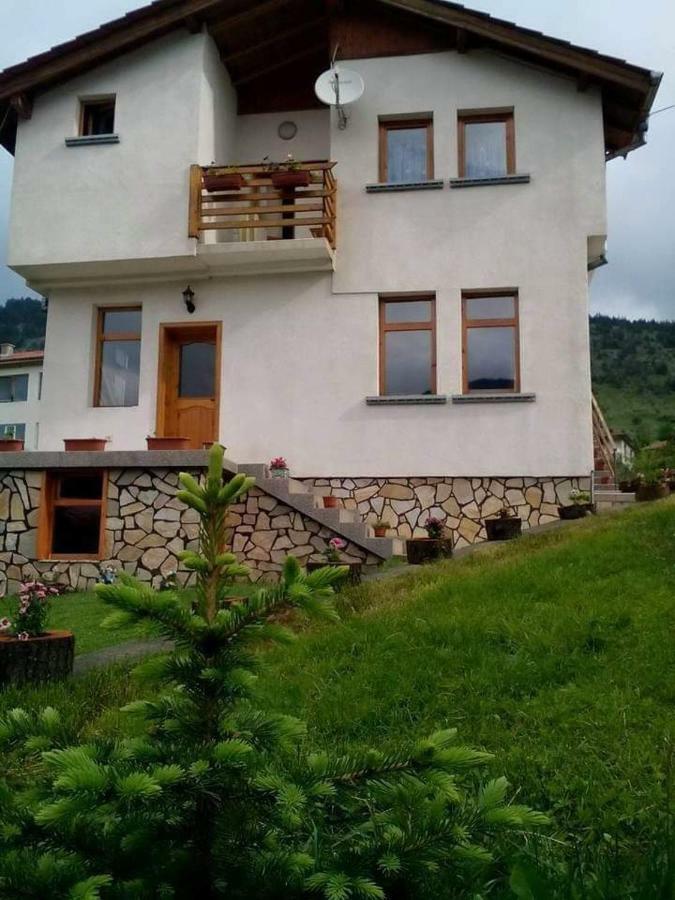 Вила Здравец Yagodina Bagian luar foto