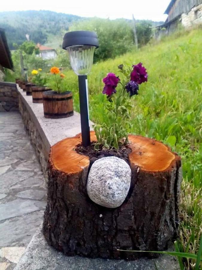 Вила Здравец Yagodina Bagian luar foto